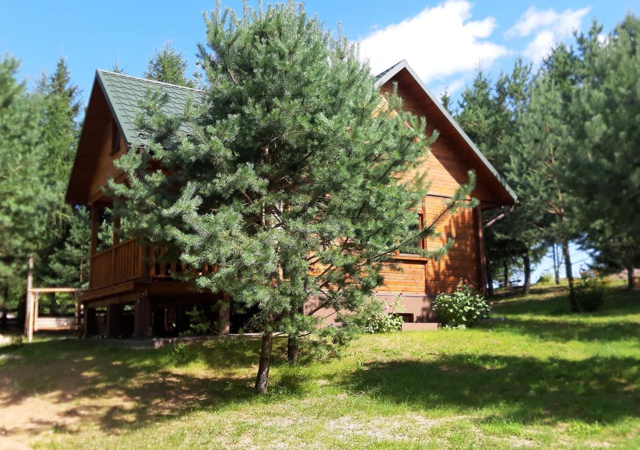 Pod Debem Bis Holiday home *